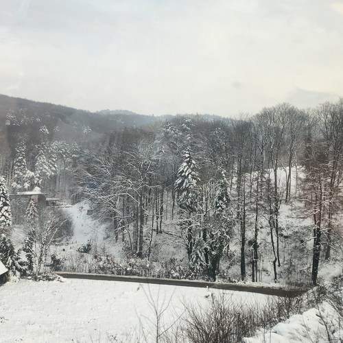 Photo #10308309