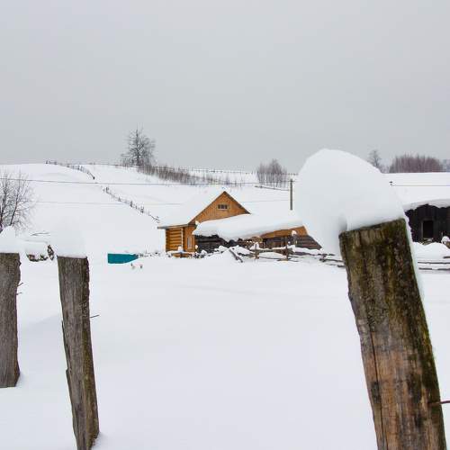 Photo #10308404