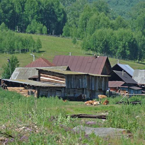 Photo #10308406