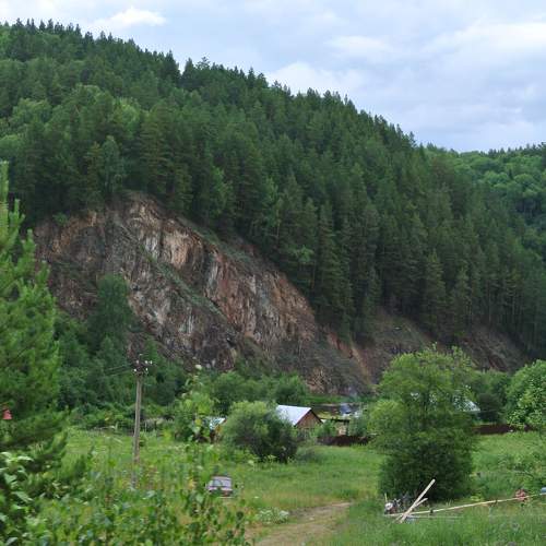 Photo #10308461