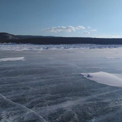 Photo #10308536
