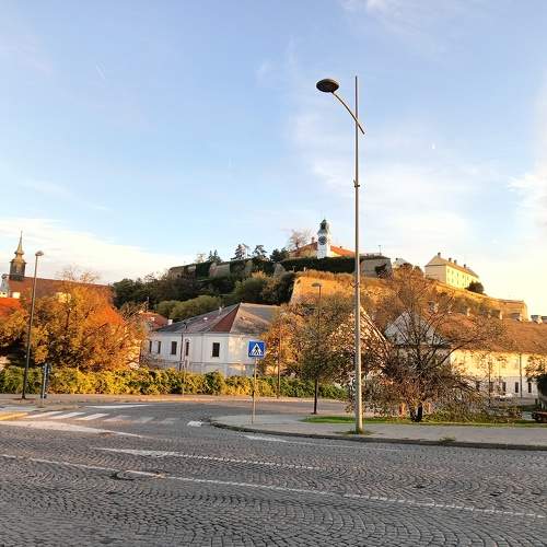 Photo #10308564