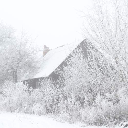 Photo #10308618