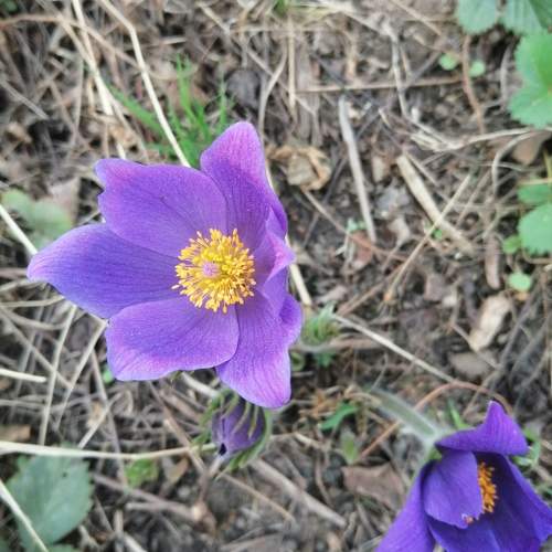 Photo #10309266