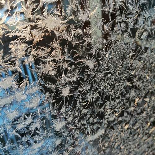 Photo #10309311
