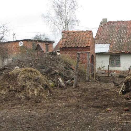 Photo #10309320