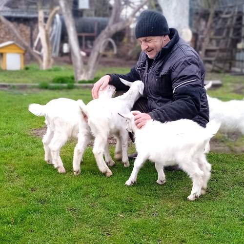Photo #10309476