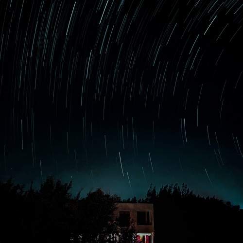 Photo #10310223