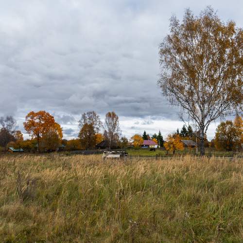 Photo #10310407