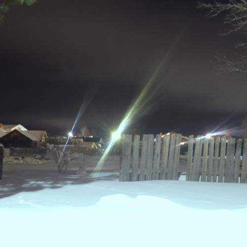 Photo #10310458