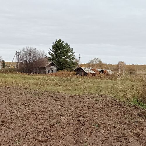 Photo #10310729