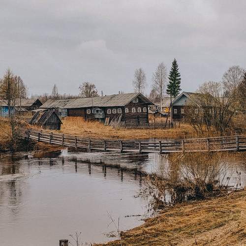 Photo #10310867