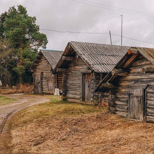 Photo #10310874