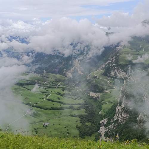 Photo #10310990