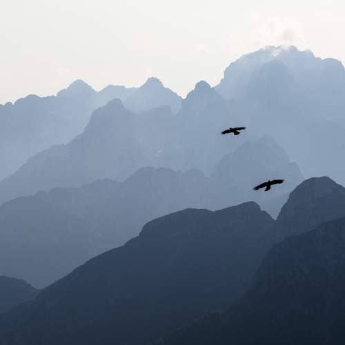 Photo #10311002
