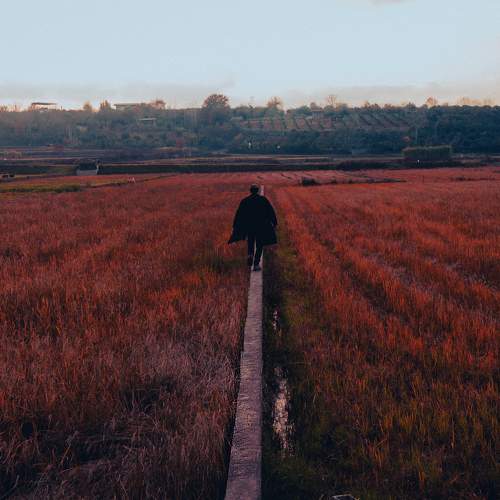 Photo #10311699