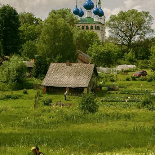 Фотография #10311785