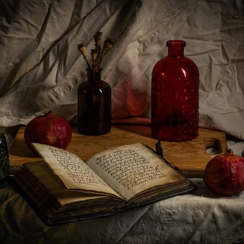 Фотография #10312005