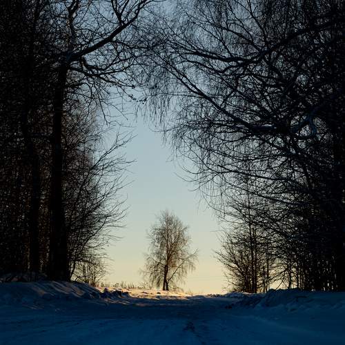 Photo #10312357