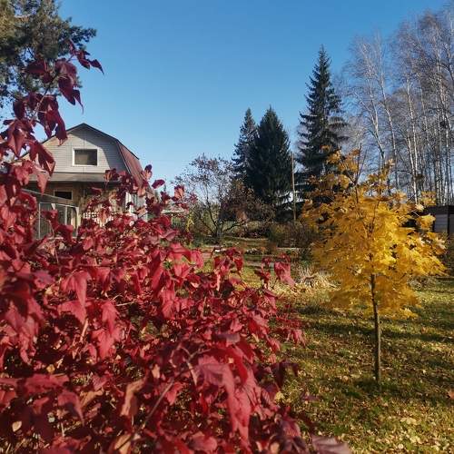 Photo #10312656