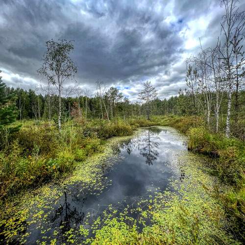 Photo #10313105