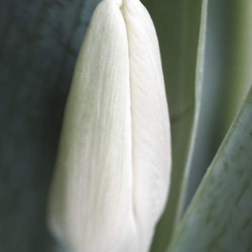 Photo #10313147