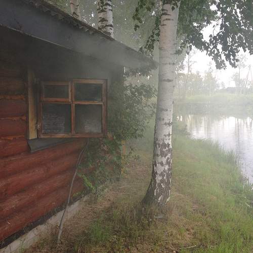 Photo #10313201