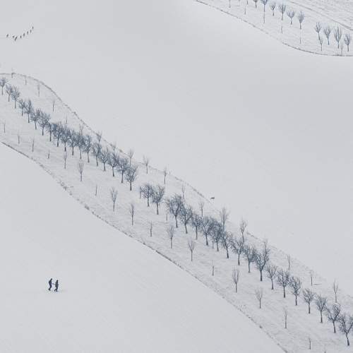 Photo #10313672