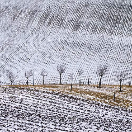 Photo #10313673