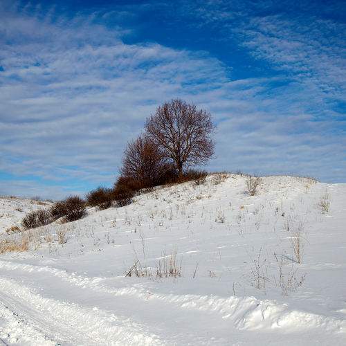 Photo #10313839