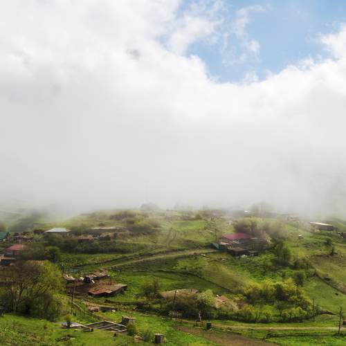Photo #10313856