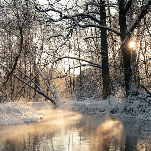 Морозное солнце | Frosty sun