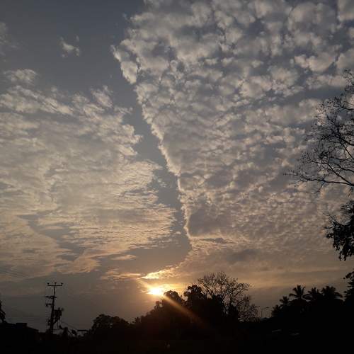 Photo #10314732