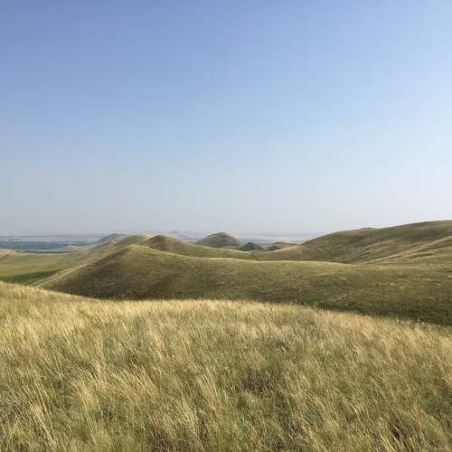 Photo #10315062