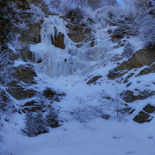 Photo #10315451