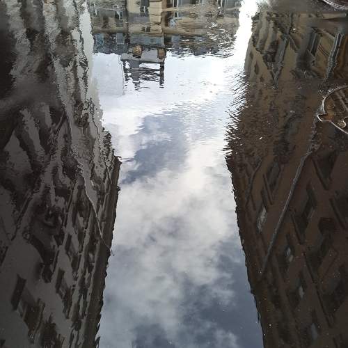 Photo #10315954