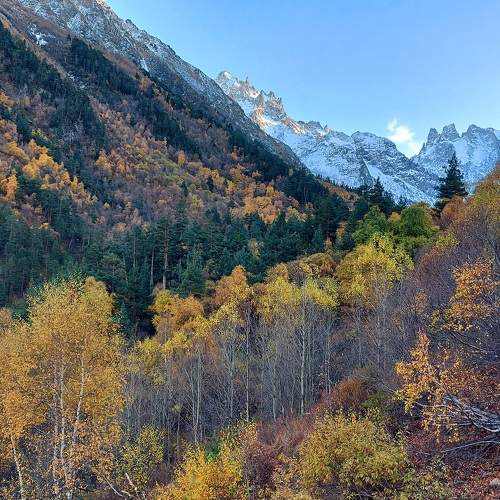 Photo #10316114
