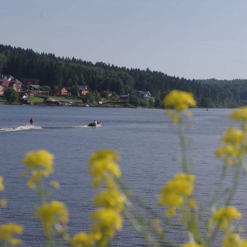 Photo #10316253