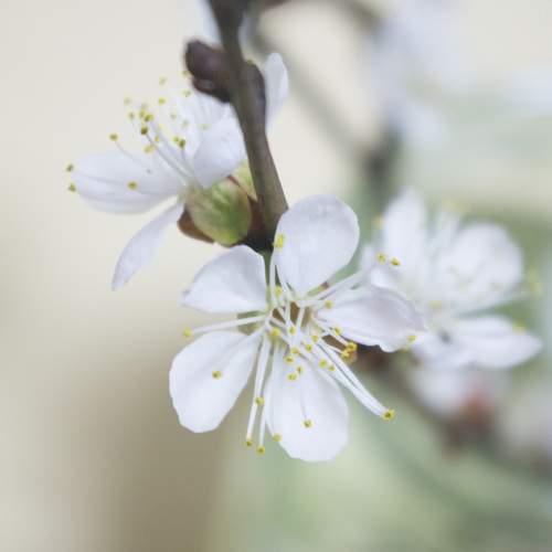 Photo #10316280