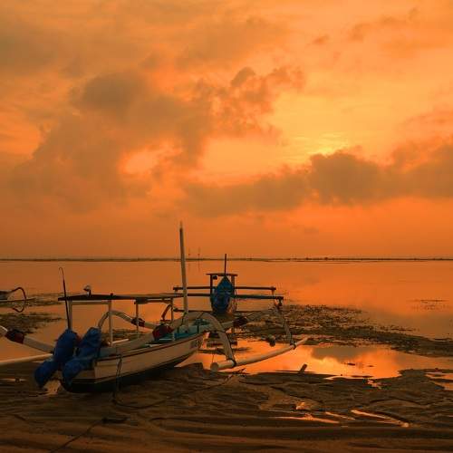 Orange morning