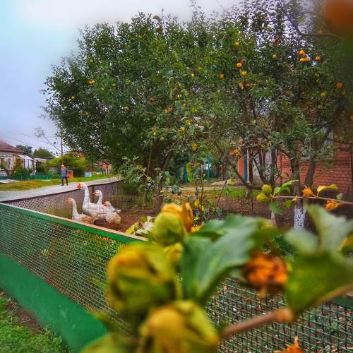 Photo #10317120