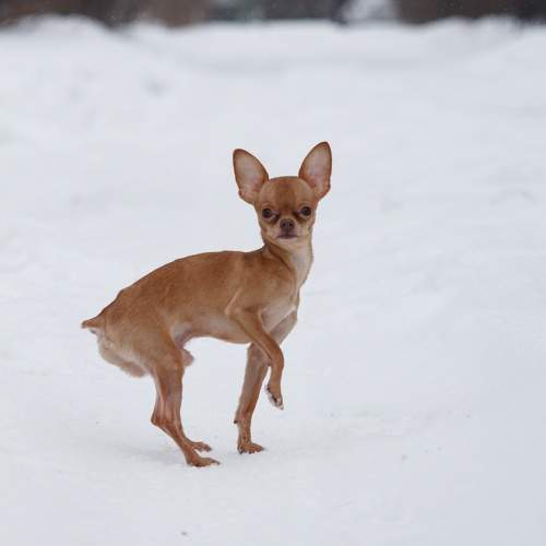 Photo #10317846