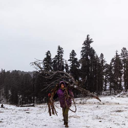 Photo #10317973