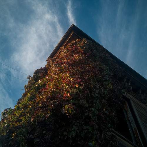 Photo #10319010
