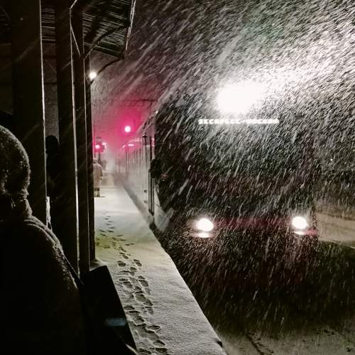 Photo #10319080