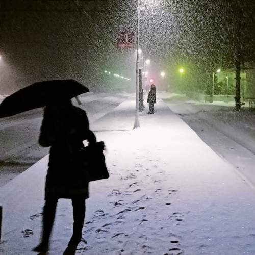 Photo #10319094