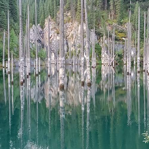 Photo #10319730