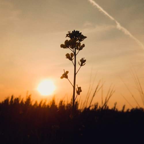 Photo #10320019
