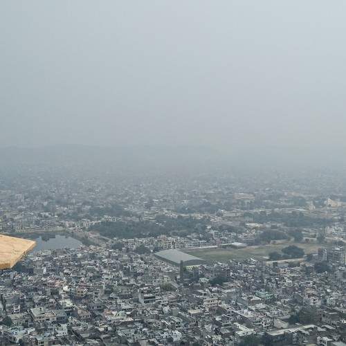 Bird's eye
