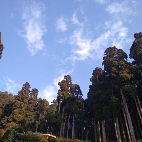 Photo #10320212